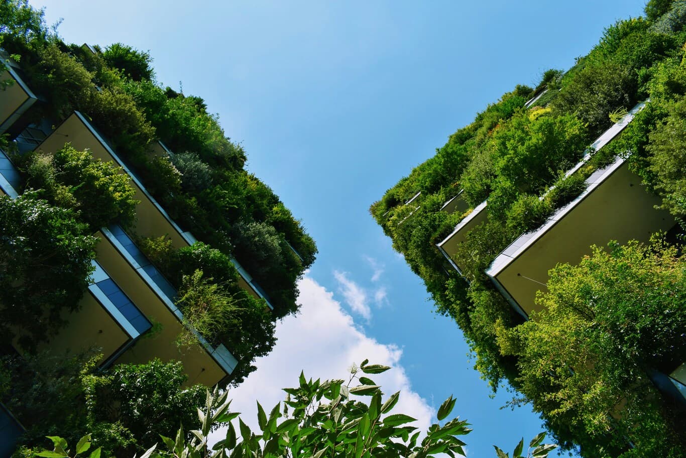 sustainable-building-materials-dubai